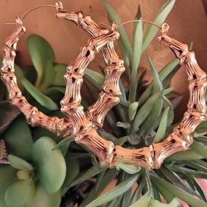 Gold plated medium bamboo shaped hoops